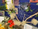 Nature Table Display