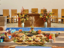 Harvest Sunday 27th September 2026